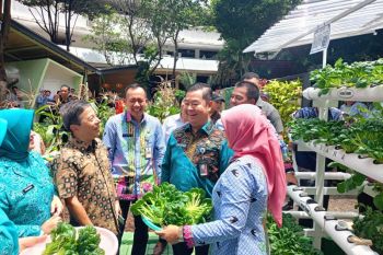 Taman Pelataran Timoer ciptakan ruang yang nyaman dan hijau