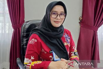 UMK Barito Selatan 2025 sebesar Rp3,8 juta