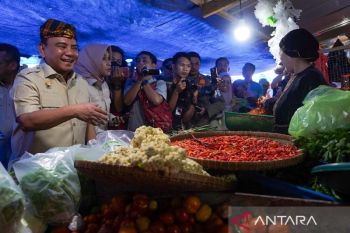 Pj Gubernur Sultra sidak harga kebutuhan pokok di pasar jelang Ramadhan