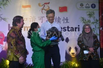 Kunjungan Dubes RRT di Istana Panda TSI Bogor