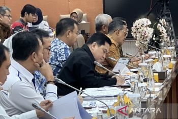 Menteri Erick upayakan efisiensi anggaran tak sebabkan PHK