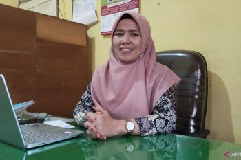 Produksi padi Padang Pariaman 2024 mencapai 185,9 ribu ton