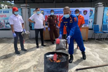 Ditpolair Polda Papua musnahkan 6,1 kilogram ganja dari PNG
