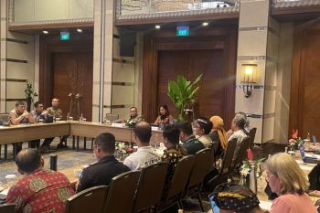 Wamenpar perjuangkan aspirasi Bali dalam RUU Kepariwisataan