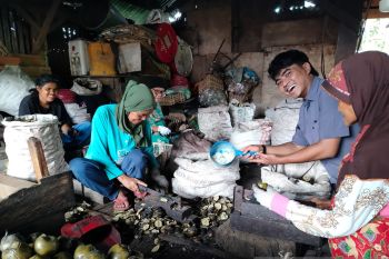 Permintaan buah kolang-kaling di Agam meningkat jelang Ramadhan (Video)