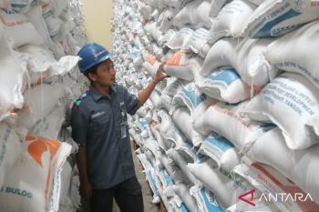 Bulog Madiun optimalkan serapan gabah dengan HPP Rp6.500 per kilogram