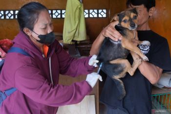Dinkes Bali sebut 16 korban rabies tewas karena tak dibawa ke faskes pada 2025