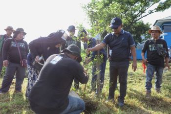 DLH Makassar gelar penanaman pohon memperingati HPSN 2025