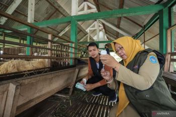 Pemkab Lamongan buka kembali pasar hewan dengan syarat vaksinasi