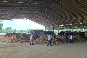 Pemprov Lampung mulai rancang RDKK untuk pupuk subsidi ubi kayu