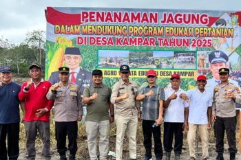 Pemkab Kampar manfaatkan pekarangan untuk program ketahanan pangan