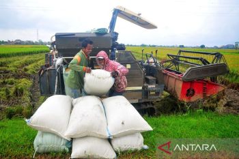 Pertanian maju kunci kemakmuran petani
