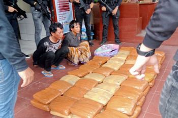 Mobil boks bawa ganja  500 kg diamankan Mabes Polri