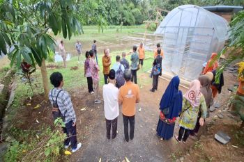 Kampoeng Kakao Menoreh, digadang dongkrak ekonomi Kulon Progo