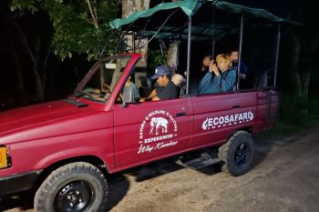 Safari malam di Way Kambas jadi sarana edukasi tentang satwa dilindungi