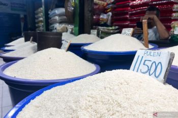 Bulog: Ketersediaan stok beras nasional aman hingga akhir Ramadhan