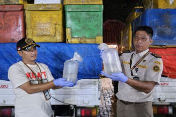 Balai Karantina Lampung gagalkan penyelundupan 1,6 juta udang windu di Bakauheni