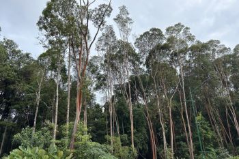 Yokohama-Batam Tandatangani LOI Kerja Sama