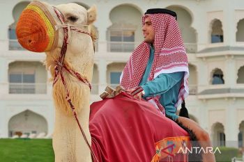 Alcaraz kembali ke Doha dengan "sangat berbeda"