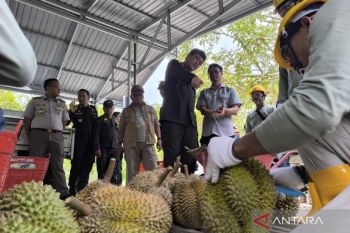Barantin tinjau PH dan kebun durian di Parigi Mautong pastikan kesiapan ekspor