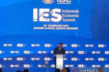 Menko Perekonomian: RI mainkan peran penting di belahan bumi selatan