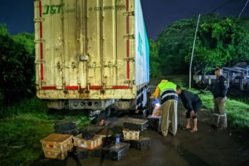 Balai Karantina dan Polri gagalkan penyelundupan 982 ekor burung liar di Bakauheni