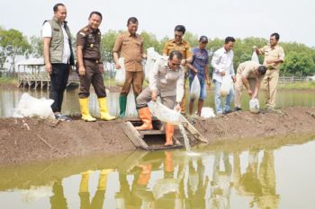 Pemkab Pasuruan tebar puluhan ribu benih bandeng dukung ketahanan pangan