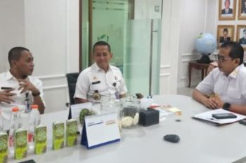 Kemenkum Sulbar meningkatkan layanan kekayaan intelektual