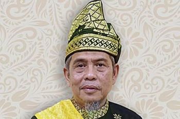 LAM Riau minta  gubernur Wahid lindungi hak-hak masyarakat adat