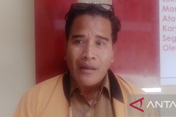 Pemkab Jayawijaya mendorong noken Baliem peroleh HAKI