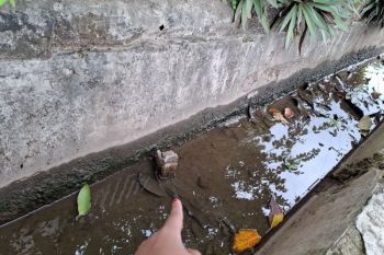 Pemprov Lampung keluarkan SE antisipasi kenaikan kasus DBD