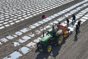 BeiDou bantu aktivitas pertanian musim semi di Tianjin, China