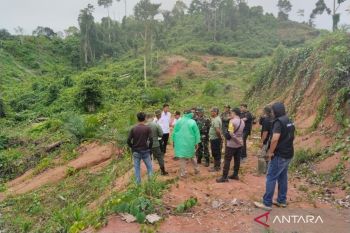 BKSDA Bengkulu tangani interaksi negatif harimau di Mukomuko