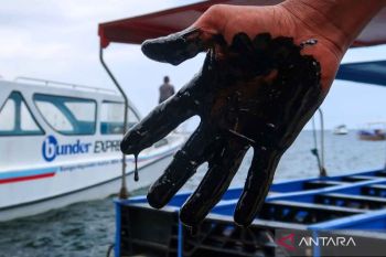 Kawasan konservasi terumbu karang di Pantai Bangsring Banyuwangi tercemar oli