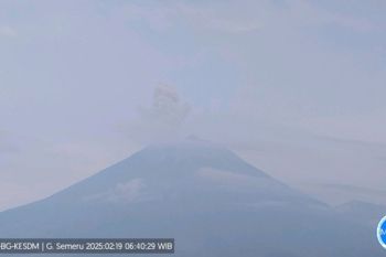 Gunung Semeru erupsi empat kali dengan tinggi letusan hingga 900 meter