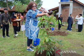 PT TWC bantu 100 pohon buah di Balkondes Borobudur