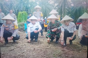 Pemkab Pasaman Barat dan Polres berkolaborasi tanam jagung jaga pangan