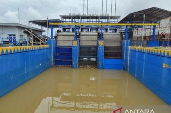 Debit air sungai Batanghari naik akibat intensitas hujan tinggi