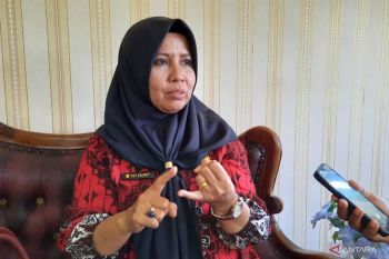 Realisasi investasi di Pariaman pada 2025 naik jadi Rp53,8 miliar