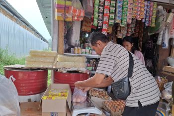 Ketersediaan pangan Lampung aman hingga bulan Mei 2025