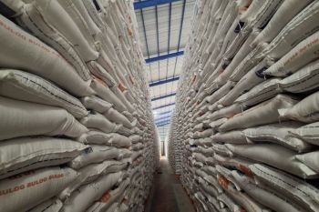 Produksi beras di Lampung surplus 766.536 ton