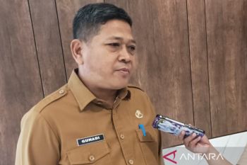 Pemkab Biak lelang kendaraan dinas untuk kurangi devisit anggaran