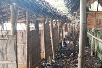 Jadi tempat mesum, lapak remang-remang di Labuhan Haji Lombok Timur disorot warga