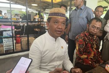 Menteri ESDM minta Singapura investasi bila ingin listrik Indonesia
