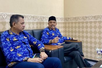 Dispusip Batam pastikan efisiensi tak berdampak pada sosialisasi perpustakan