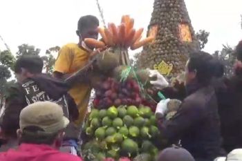 Pemkab Jombang: Kenduri Durian ucapan syukur untuk produksi melimpah