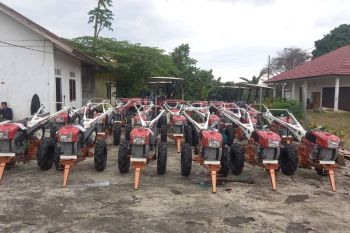 Kementan bentuk 11 brigade pangan tingkatkan indek pertanian