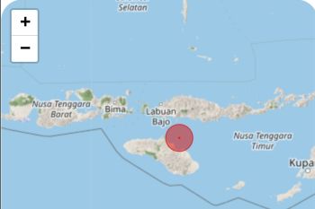 Gempa bermagnitudo 5,3 guncang Waingapu NTT