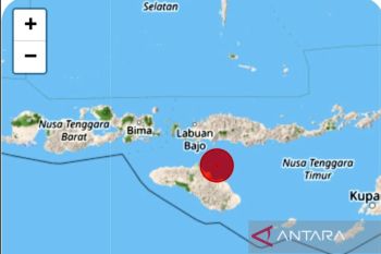 Gempa magnitudo 6.0 guncang Wanokaka, NTT