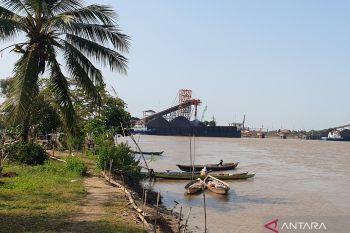 Pemkot Palembang galakkan  penebaran benih ikan di Sungai Musi